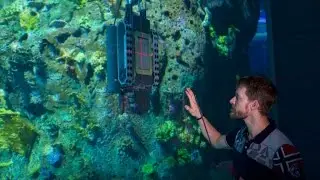 Hammerhajerne har ridset ocean-ruden. Nu skal den pudses med en undervandsrobot.