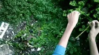 COOL REVERSE VIDEOS #3