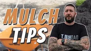 5 Quick Tips for New Mulch Beds