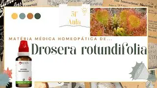 Drosera rotundifolia - Homeopathic Materia Medica #51 #homeopathy