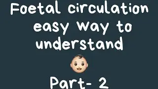 FOETAL CIRCULATION....Easy way to understand...PART -2