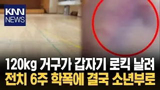 190cm에 120kg 거구 학폭위 처분 가해 학부모 '행정심판' 청구 / KNN