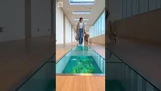 😂🐾🐟300 IQ...0? Cat vs Dog&hellip; #funny #pets