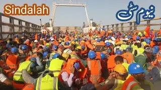 sindalah island project neom city saudi arabia &the line city update 2024