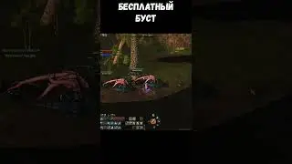 Бесплатный буст в Lineage 2 Project Wolf
