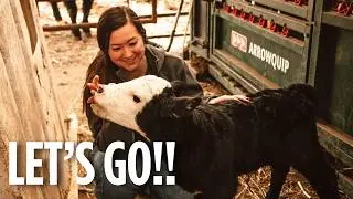 The BEST time of the year on the farm is here!!!