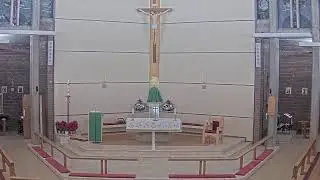 Vigil Mass (17.1.2026) | St Thomas More, Sheldon