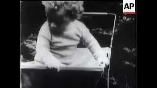 The Lindbergh Baby Kidnapping Case