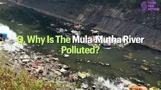 Why is the Mula Mutha River Polluted?