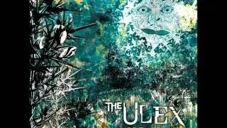 The Ulex - Ashes