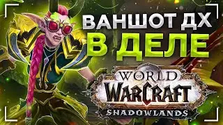 УДАР - ВАНШОТ! ДХ в ДЕЛЕ! Shadowlands! WoW 9.0.5! ● РЭЙВИС