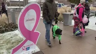 Making Stride Against Breast Cancer Walk Takes On New Look