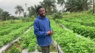 Do you know soil give so much money