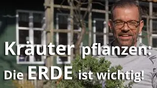 KRÄUTER pflanzen - die richtige ERDE macht den Unterschied!