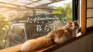 静かな日常