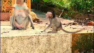 Aw, Look at very spoiled girl baby Santos crying tantrum to beg milk mom BUT mom Sara......