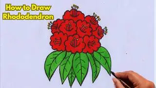 How to draw a flower Drawing easy || Colouring flower drawing with colour || Flower pat Drawing.