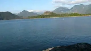 beaver buzz