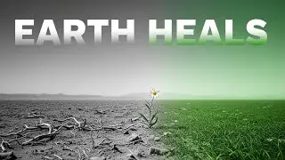 The First Flower After The Bombs | Visual Poem