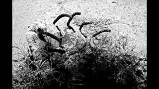 Alejandro Morse - One (For Carl Jung) (2007)