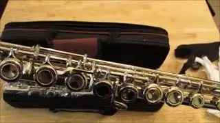 Eastar EFL 1 Closed Hole C Flutes 16 Key Nickel Beginner Flute Set With Carrying Case