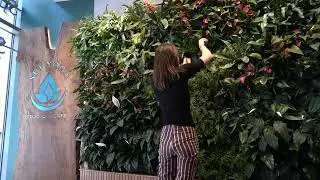 Urbanstrong's Living Wall Design Considerations