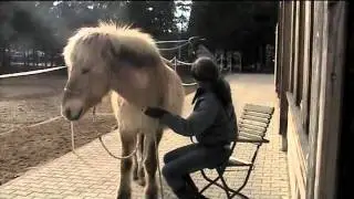 Lazy Horsemanship - Hoeven uitkrabben