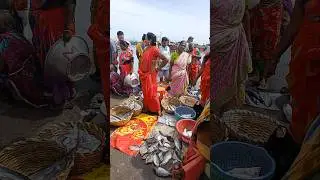🐠💥RABBIT (ஓரா) FISH AUCTION AT KASIMEDU FISH MARKET🔥 #shorts #fish #auction #kasimedu #fishmarket