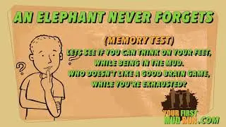 Your First Mud Run - An Elephant Never Forgets (Memory Test)