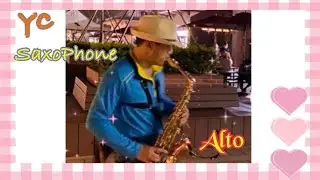 陳雷 往事就是我的安慰 降B調中音薩克斯風 --Cover by Alto Saxophone
