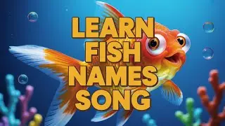Fish Dance Kids Song | Fun Music and Learning About Ocean and Sea Animals