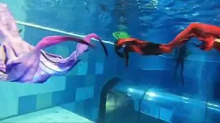 Mermaid tricks Akademia Syren