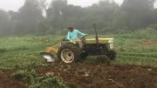 Shallow Till