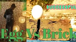 egg Vs Brick Successful 🥚✅ 🧱