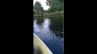 Welsdrill 135cm an einer leichten Spinnrute