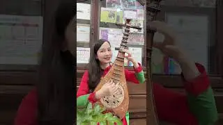 Nối B&agrave;n Tay Lớn Cực Hay Tiếng Đ&agrave;n Tỳ B&agrave; Của Nghệ Sĩ Diệu Thảo #dantyba #dieuthao #noivongtaylon