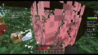 GamePE Server render glitch