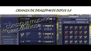 CRIANZA DE DRAGOPAVOS DOFUS 3.0 GUIA DESDE CERO CONSIGUE MUCHOS DRAGOPAVOS!