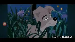 Animated Dogs- Accidently In Love