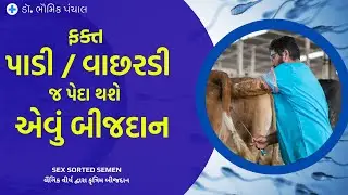 Sex-sorted Semen | Insemination through sex semen | New Technology | Only a dose that will give birth to a calf