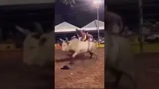 Bull Toss Backflip&mdash;Man Sticks the Landing! 🐂🤸 #Shorts