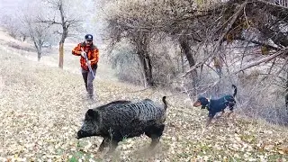 WHEN HUNTERS HUNT BOARS - part 12