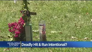 Police Looking For Suspect Who Killed Man With Car In Stockton Park