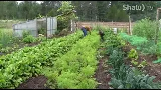 Transfarmations - Urban Farming on Vancouver Island