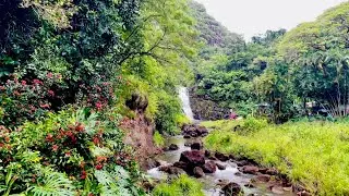 Waimea Botanical Garden | Waimea Waterfall #botanicalgarden #waimeavalley #oahu #hawaii