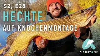 S2E28 - Dicker Beifang - FISHSTONE's Angelwelten