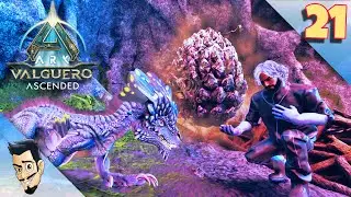 VOLER UN OEUF DE ROCKDRAKE sur VALGUERO ! ( on a eu chaud ! ) ep 21 - ARK SURVIVAL ASCENDED FR -