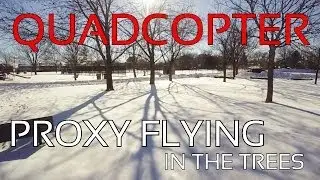 FPV Proxy Flying in the Trees | FLIP FPV Quadcopter