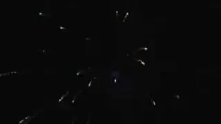 Золотой Дракон SU-01310.avi