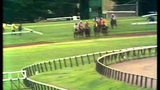1981 VRC Grand National Steeple